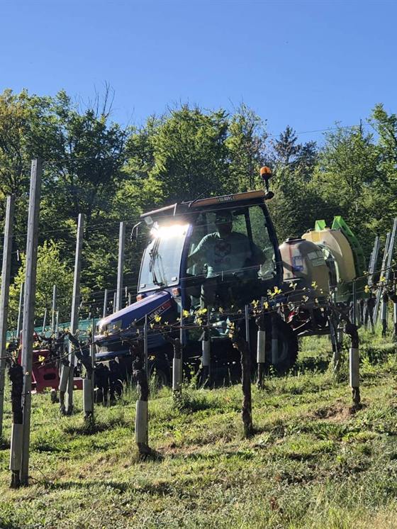Jürgen Imp pflegt mit dem Traktor die Rebzeilen im Frühjahr